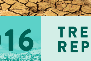 A cropped section of a report cover, with dry, cracking soil along the top, then teal color blocks and text beneath, reading "2016 Trends Report"